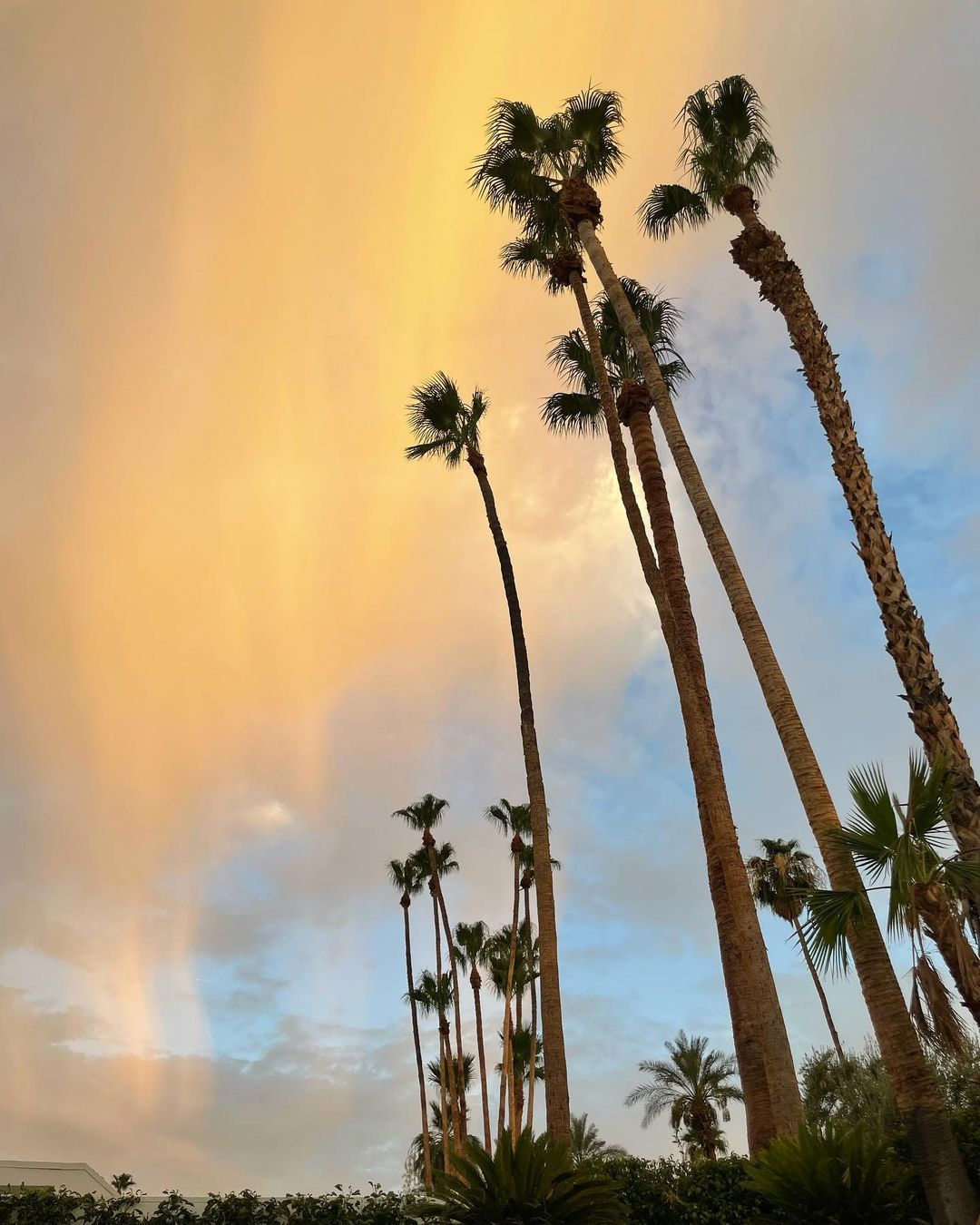 Sunset sun shower!
#palmspringsrain #raininthedesert #palmspringssunset (at Palm Springs, California)
https://www.instagram.com/p/CQ2VbEDjX95/?utm_medium=tumblr