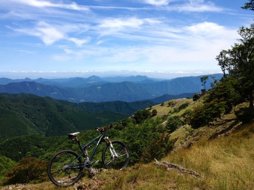 thcmilgrau:  brissinhaaa