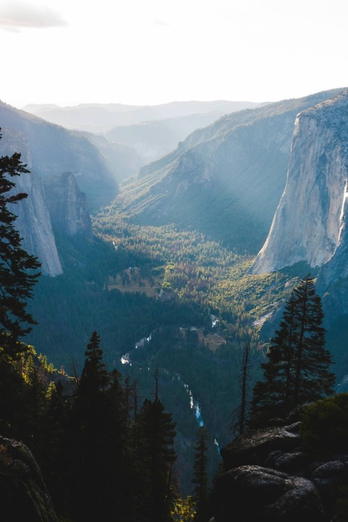 amazinglybeautifulphotography:I know Yosemite is posted here a lot, but it’s for good reason. Yosemi