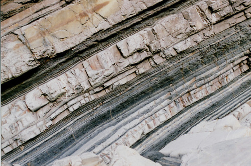 Turbidites!These rock layers may not look that distinctive, but to geologists these tell a really co