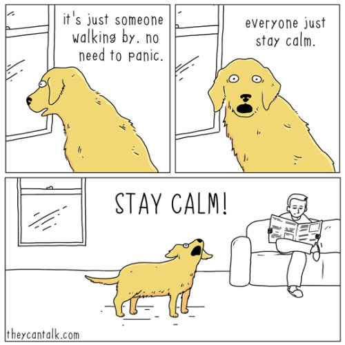 theycantalk - stay calm