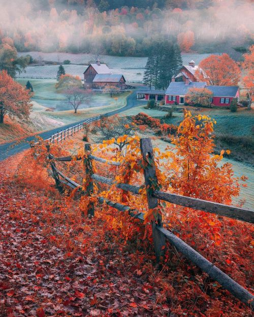 atraversso:   Wonderful  Autumn  🍁  ❤️ porn pictures