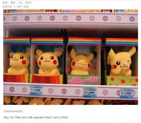 XD