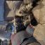 savedbythecat