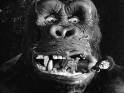 ronaldcmerchant:  KING KONG (1933) click