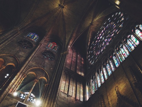 the-village-green:tylerjadeparis:Notre Dame CathedralAh, yes, the “dark” ages.  So primitive and bar