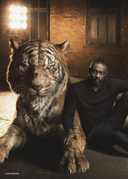 disneythejunglebook:Idris Elba as Shere KhanIn “The Jungle Book” Idris Elba plays Shere Khan, a ruth