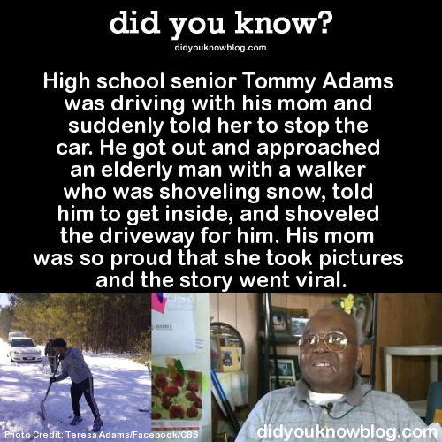 XXX did-you-kno:  High school senior Tommy Adams photo