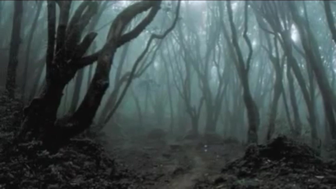 cosmiksol:  Slenderman sightings 