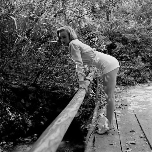 the50sbest:  Marilyn Monroe at Griffith Park, Los Angeles, 1950.