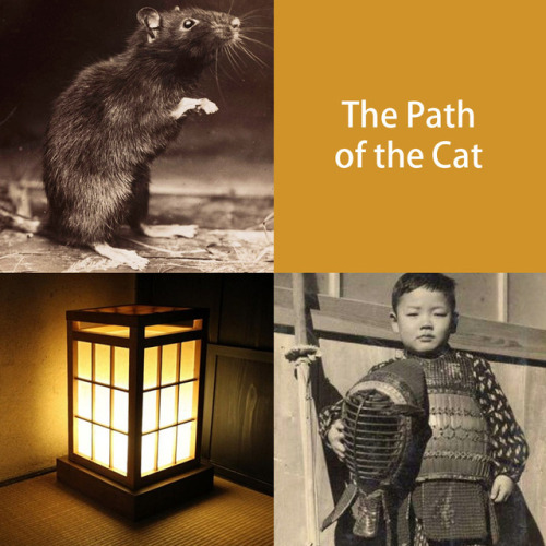 Japanese folk tales #33 – The path of the cat Today, we’ll cover a young samurai story as requested 