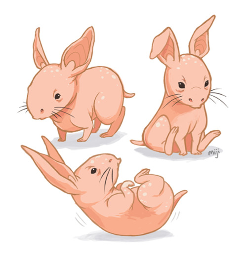 weemiji:  Just a couple of gross pig rat babies 