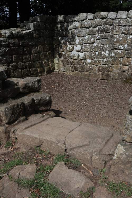 Brunton Turret, Hadrian’s Wall, Northumberland, 2.8.18.Not far from Chesters Roman Fort lies B