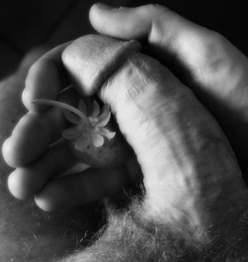 graeandresen:  strawberries & … (self-portrait w/…) - Copyright © Græ Andresen 