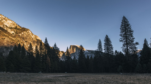 embrace-the-wild: pro-zack: Yosemite National Park  Instagram: Embrace The Wild