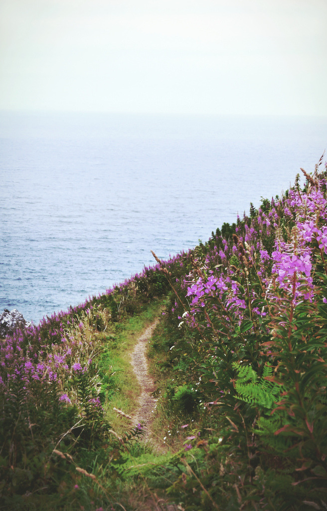 h4ilstorm:  Coastal Hikes (by Dangerous…Dan) 