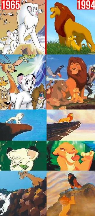 theawkwardqueerturtle: badjokesbyjeff: badjokesbyjeff: The Lion King ripped off Kimba The disgustin
