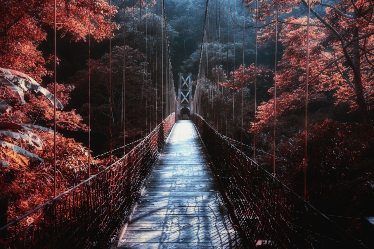 melodyandviolence:  by   Hanson Mao(毛延延)   