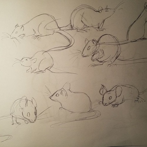 ky-jane:Some animals from a cartooning assignment in class–!