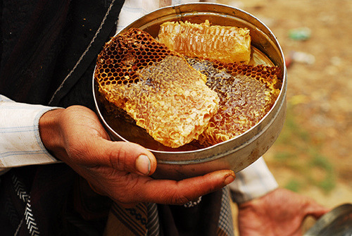 fireafly: “You will remember me as sweeter than honey;  better to have than the honeycomb.”– Sirach 24: 20 