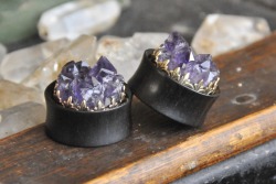 oaksplugs:  Ebony Plugs with Amethyst Druzy!