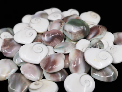 Our Shiva Shell Heart is an absolutely stunning natural gemstone that is also known as Pacific Cat&r