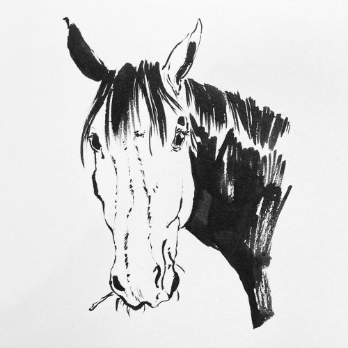 Someday you wake up and realize you own a horse #draco #horse #equineart #drawing #inktober #inktobe