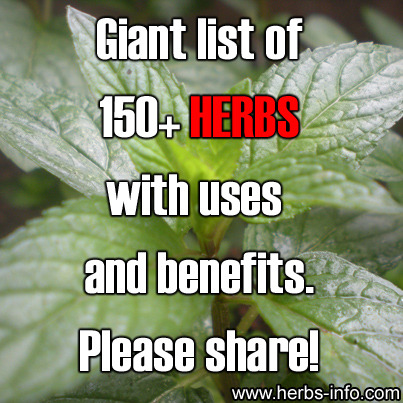 veganmovement2012:List Of 150+ Herbs With Uses And BenefitsAgrimony | Ajwain | Alfalfa | Allspice | 