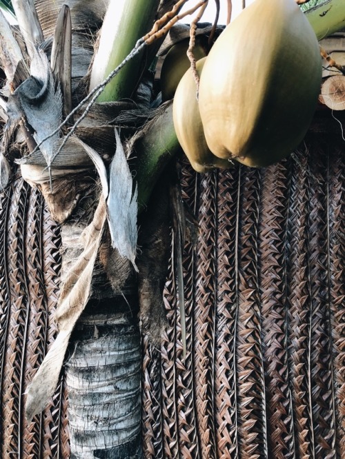 Woven palm fence, Lamu IslandPhoto Sandy B