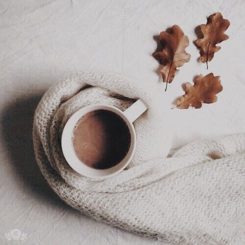 lkikues:like the colors in autumn so bright  just before they lose it all 🍂☕️