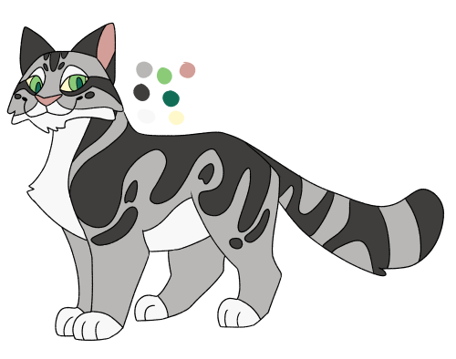 Graypaw of Riverclan, Frostpaw’s brother! I hope he gets more screen time with his sister too! A dra