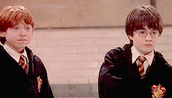 remusjohnslupin:  Harry then did something that was both very brave and very stupid.