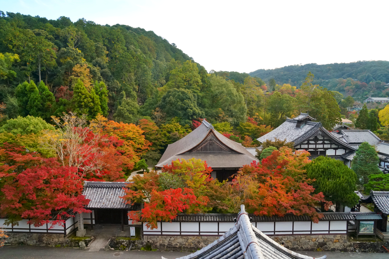chitaka45:京都 南禅寺 天授庵 🍁紅葉2018🍁 kyoto nanzenji tenjuam temple