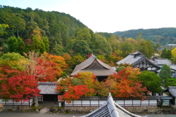 Chitaka45:京都 南禅寺 天授庵 🍁紅葉2018🍁 Kyoto Nanzenji Tenjuam Temple