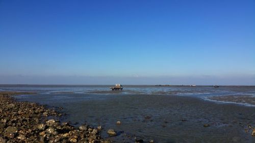 The passage du Gois connecting Noirmoutier Island to the mainland (Vendée),February 2018