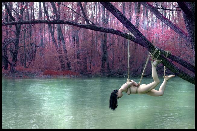 sweetlittlewallflower:  “There is a pleasure in the pathless woods,There is a rapture