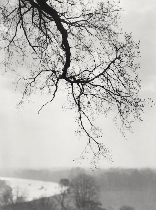 arsvitaest: E. O. Hoppé, Richmond Park, Surrey, 1925 Thanks to davidsimonton