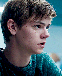 Get To Know Me: Favorite Male Characters (11/50) ↳ Newt (The Maze Runner || The Scorch Trials)