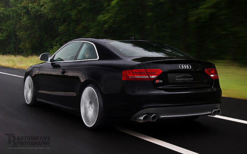 streetstance:  street stance  –socialq