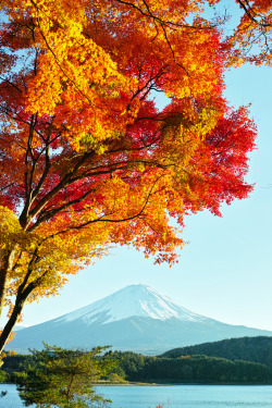 radivs:  'Mt. Fuji and Autumn Leaves #3' by nipomen2