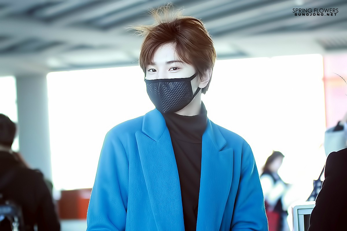 ifntjjong: 150116 Gimpo Airport© SPRING FLOWERS | Please do not edit/crop/remove