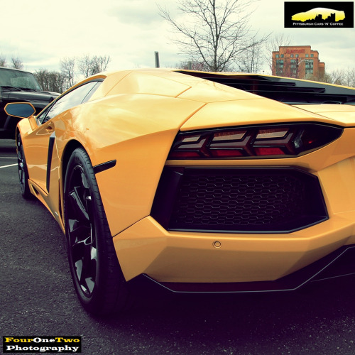 automotivated:  Aventador (by FourOneTwo adult photos