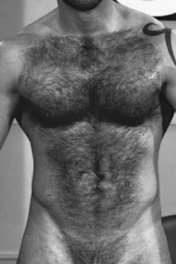 hairy-chests:  /