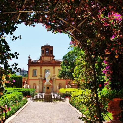useless-catalanfacts:Jardins de Montfort, València.