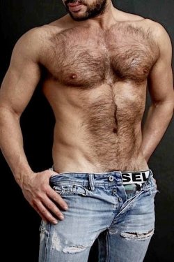 Hairy gay men