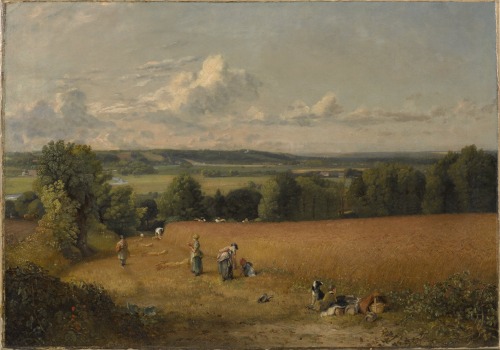 The Wheat Field, John Constable, 1816