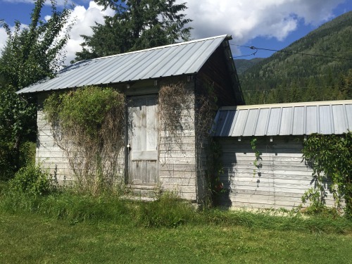 These are some shots of the farm I just bought. It’s just under two acres and is in the Slocan