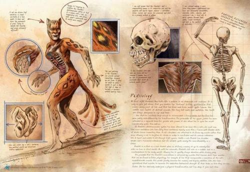 I’m happy to finally announce DC Comics’ ANATOMY OF A METAHUMAN. I spent a year illustrating t