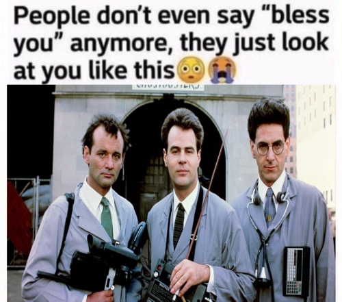 Hi New Interest Just Dropped, I Hope There's Some Ghostbuster Fans On Tumblr