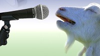 theemancipationofaho:  jackafz:  sle4zy:  me singing in the shower :/  Back to bleat